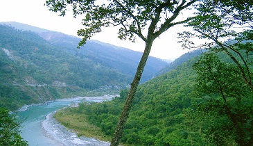 Teesta valley